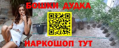 индика Абинск