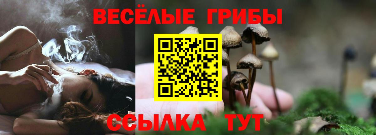 Ачхой-Мартан  Псилоцибиновые грибы GOLDEN TEACHER  Вход с VPN 